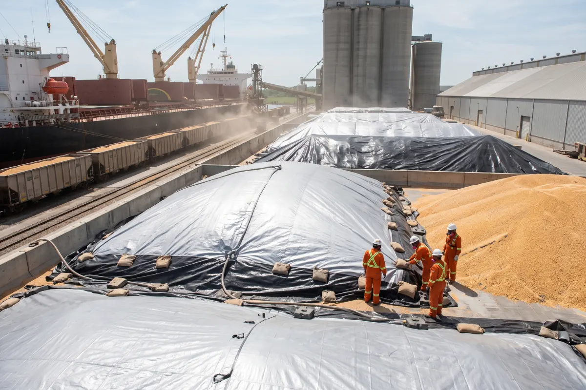 How Fumigation Covers Protect Agricultural Produce During Storage and Export
